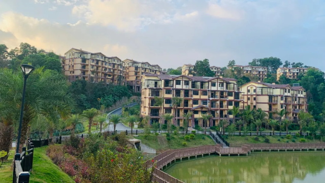 住進陽光雨林，揭秘自然療愈力